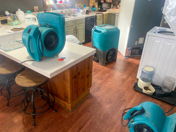 Best Mold removal after water damage  in Fallbrook, CA