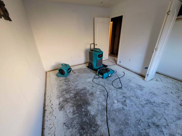 Best Basement water damage restoration  in Fallbrook, CA