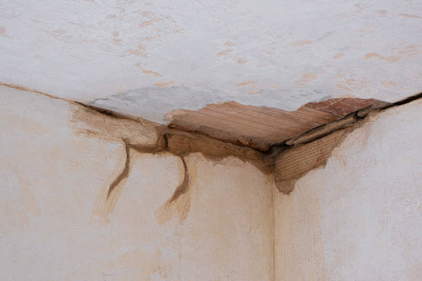 Best 24-hour water damage restoration  in Fallbrook, CA