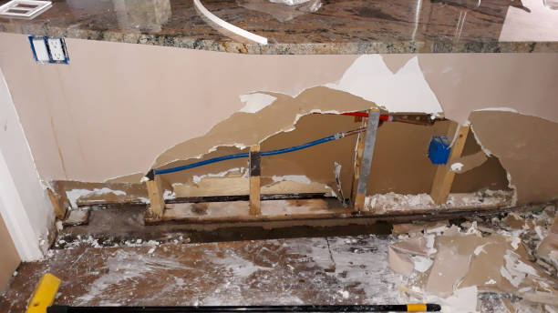 Best Ceiling water damage repair  in Fallbrook, CA