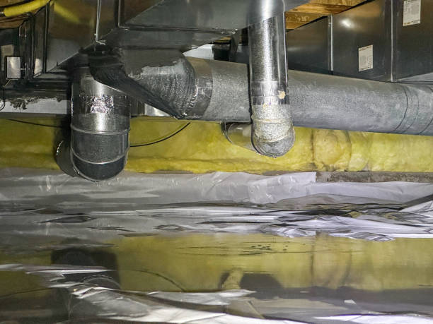 Best Flood restoration services  in Fallbrook, CA
