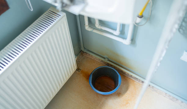 Best Water damage restoration near me  in Fallbrook, CA