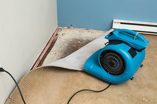 Best Fire Damage Restoration  in Fallbrook, CA